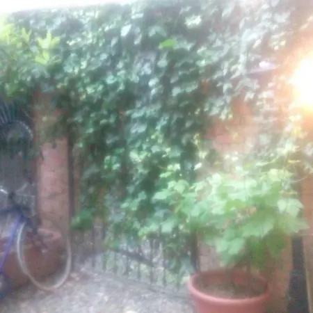 Central With Garden Apartamento *